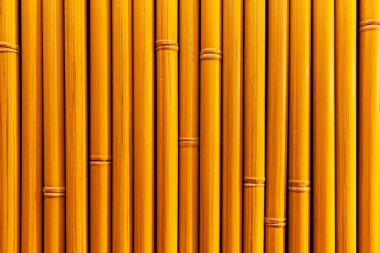 Kahverengi eski Bambu çit dokusu ve arka plan pürüzsüz.