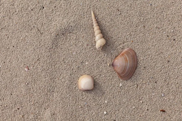 Sandstruktur Sandstrand Als Hintergrund Ansicht Von Oben Natursandstein Textur Hintergrund — Stockfoto