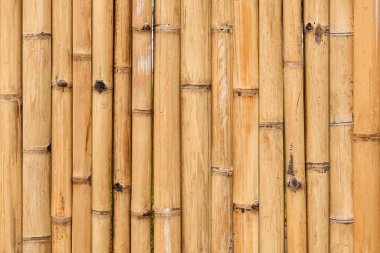 Kahverengi eski Bambu çit dokusu ve arka plan pürüzsüz.