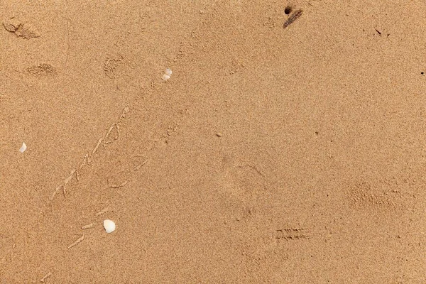 Sandstruktur Sandstrand Als Hintergrund Ansicht Von Oben Natursandstein Textur Hintergrund — Stockfoto