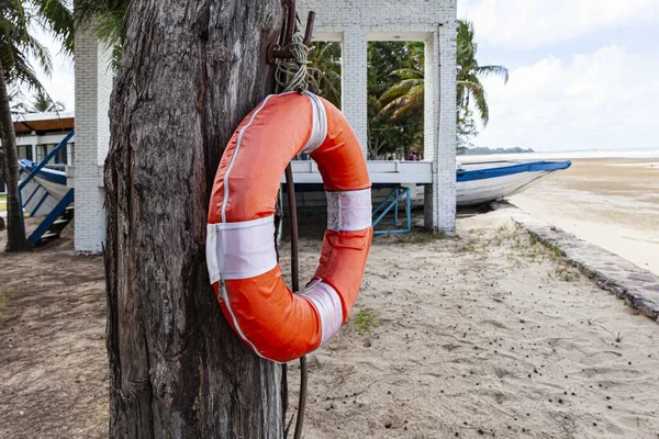 Lifebuoys Untuk Wisatawan Disiapkan Pantai Depan Hotel Resor — Stok Foto