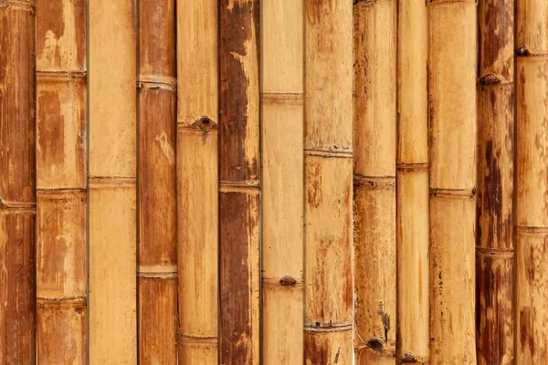 Brown Velha Cerca Bambu Textura Fundo Sem Costura — Fotografia de Stock
