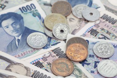 Japonca yen notları.