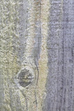 Yüksek çözünürlüklü ahşap tahta