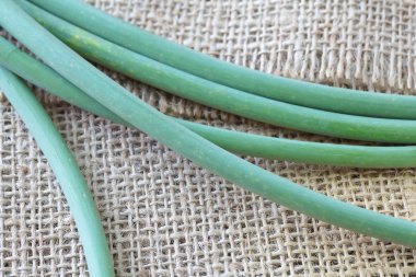 sarımsak allium veya pırasa sebze