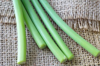 sarımsak allium veya pırasa sebze