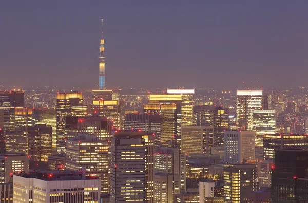 Widok na miasto Tokio — Zdjęcie stockowe