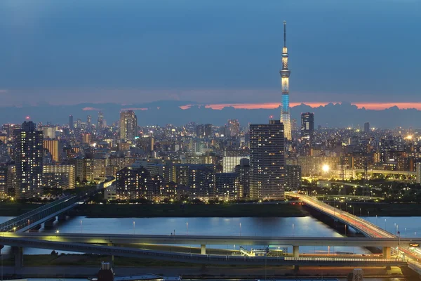 Prachtig uitzicht op de stad Tokio — Stockfoto