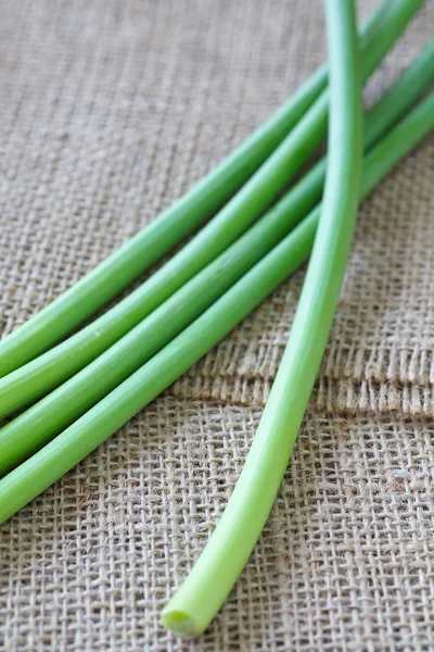 Vitlök allium eller purjolök vegetabiliska — Stockfoto