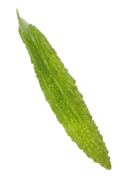 Pepino amargo o melón amargo — Foto de Stock