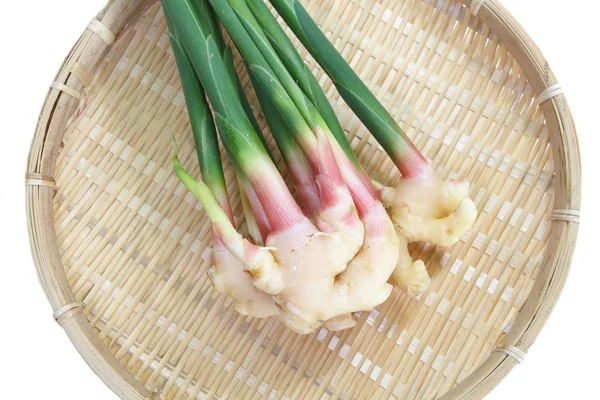 Legume de raiz de gengibre fresco — Fotografia de Stock