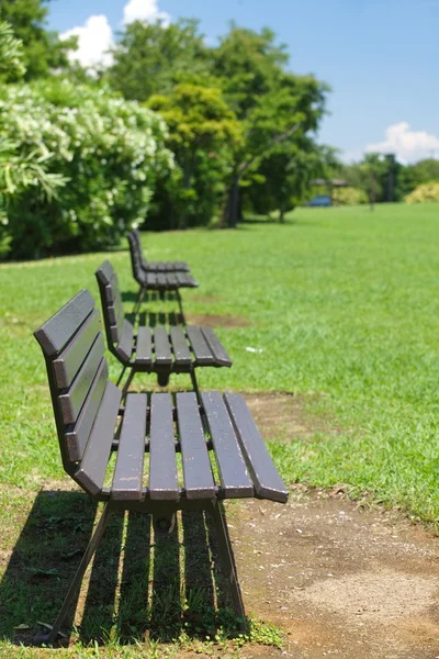 Houten bench in pubic park — Stockfoto