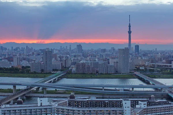 Pohled na město Tokio — 图库照片