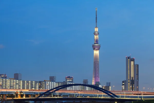 Tokyjskou sky tree — Stock fotografie