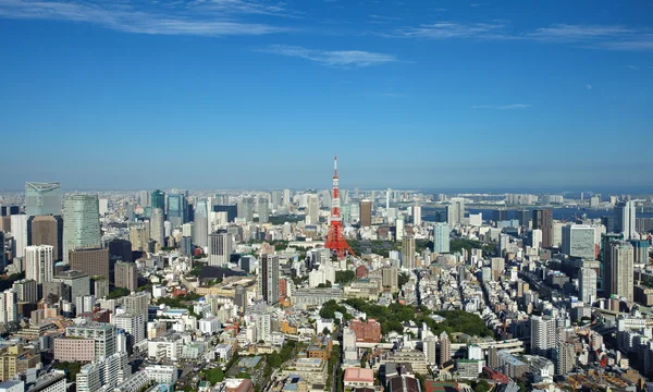 Utsikt över tokyo stad — Stockfoto
