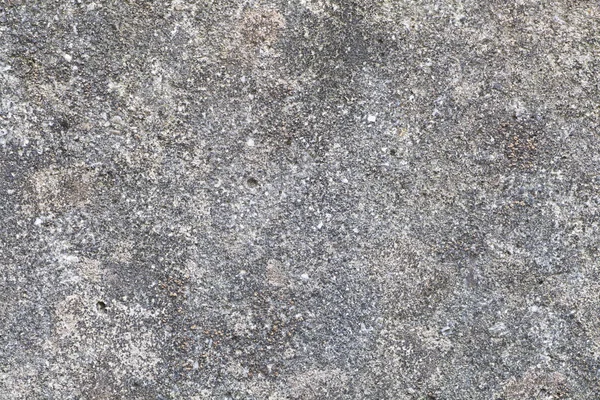 Beton veya çimento duvar — Stok fotoğraf