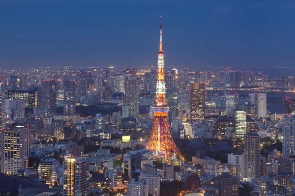 Tokyo-Himmelsbaum — Stockfoto