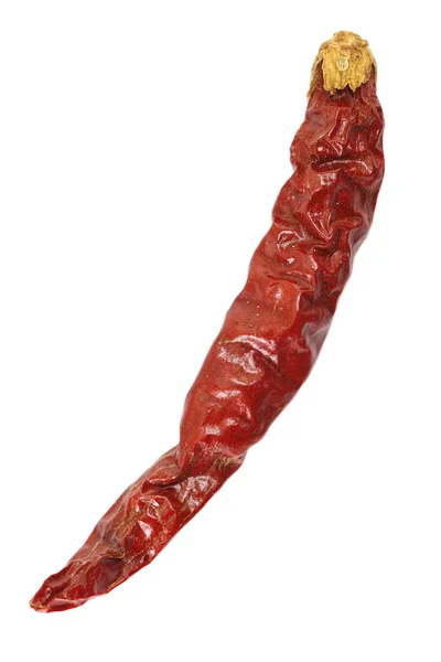 Suché červené chili pepper — Stock fotografie