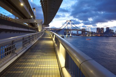 Tokyo Körfezi ve Gökkuşağı Köprüsü