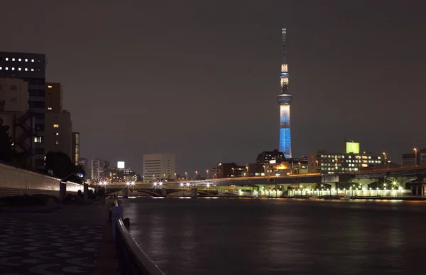 Tokyo-Himmelsbaum — Stockfoto