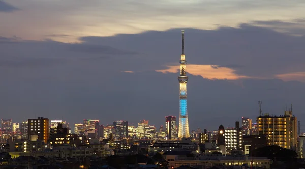 Tokyo Sky ağaç — Stok fotoğraf