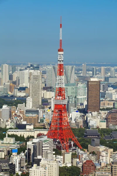 Pohled na město Tokio — Stock fotografie