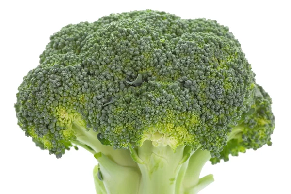 Brocoli freschi su bianco — Foto Stock