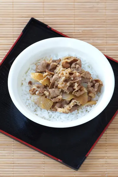 Чаша риса с говядиной и луком — стоковое фото