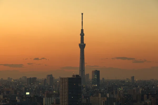 Utsikt över tokyo sky tree — Stockfoto