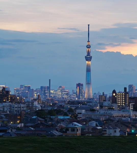 Tokyo sky ağaç görünümü — Stok fotoğraf