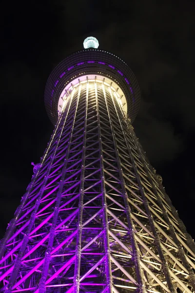 Veduta dello Skytree di Tokyo — Foto Stock