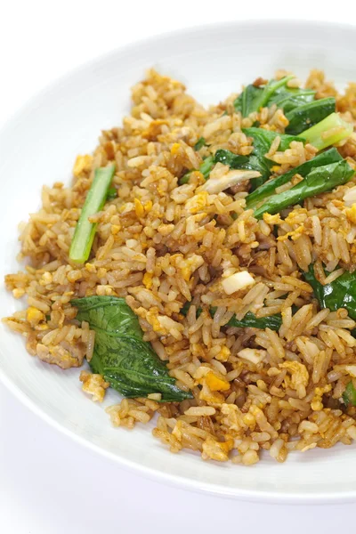 Arroz frito chino con cerdo y puerro verde — Foto de Stock