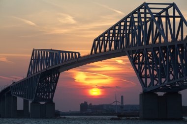 Tokyo gate Köprüsü