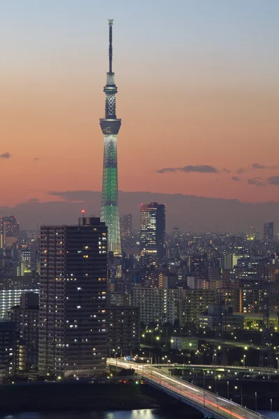 Tokyo sky ağaç görünümü — Stok fotoğraf