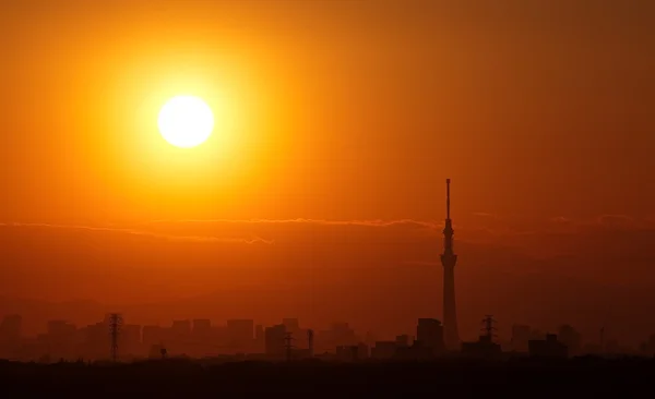 Vista de la ciudad de Tokio — Foto de Stock