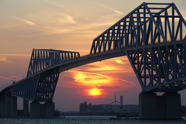 Ponte do Portão de Tóquio — Fotografia de Stock