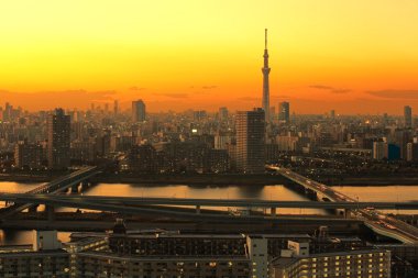tokyo sky ağaç görünümü
