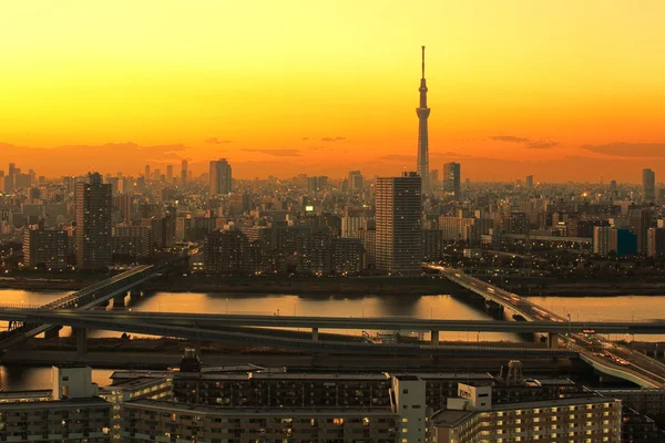 东京天空树视图 — 图库照片