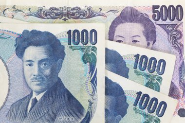 Japon para birimi yen banka Not