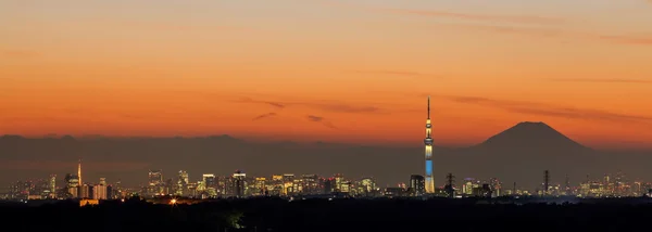 Vista de la ciudad de Tokio — Foto de Stock