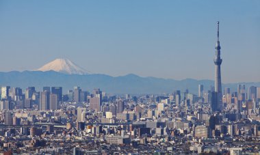 tokyo sky ağaç görünümü