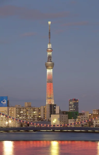 Tokyo sky ağaç görünümü — Stok fotoğraf