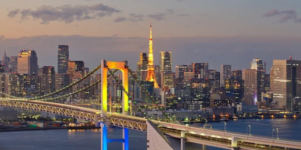 Tokyo vue sur le ciel — Photo