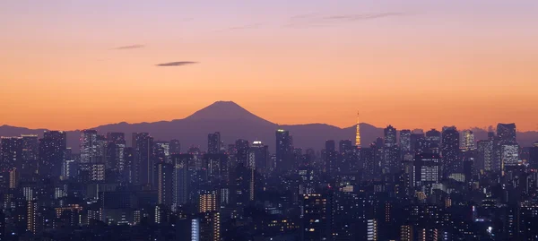 Вид на город Токио с Токио — стоковое фото