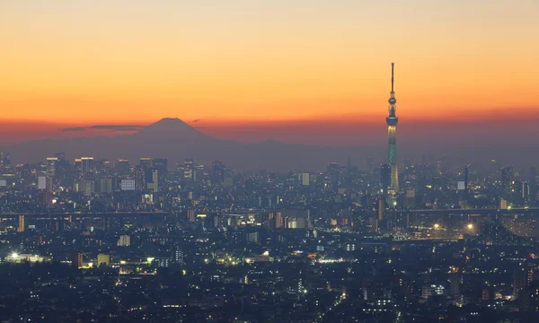 Tokio vista de la ciudad —  Fotos de Stock
