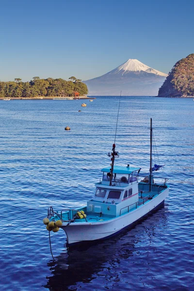 Scenery Mountain Fuji — Stock Photo, Image