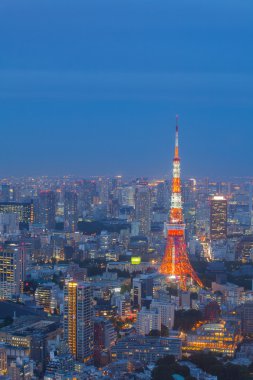 Tokyo gökyüzü ağaç görünümü