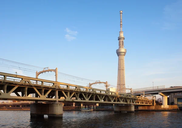 View of Tokyo Skytree