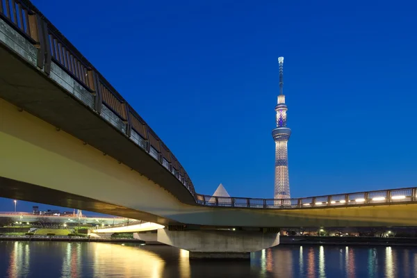 Pemandangan Tokyo Skytree — Stok Foto