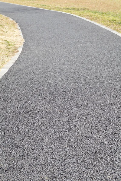 Camino de piedra en el parque — Foto de Stock